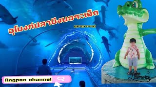 น้องอั่งเปา | พาเที่ยวอุโมงค์ปลาบึงบอระเพ็ดนครสวรรค์ [EP. 3]