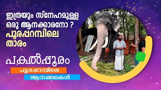 Thrissur pooram 2022 | ഇത്രയും സ്നേഹമുള്ള  ഒരു ആനക്കാരനോ ? പൂരപ്പറമ്പിലെ താരം | Sinoj Varghese