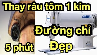 Cách thay râu tôm máy 1 kim| chỉnh đồng tiền máy may | máy may công nghiệp #2 | #Quynhmaymay