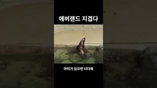 에버랜드가 지겨운 이유 [라니의숏로그][육아브이로그, vlog, 연간회원권, 멤버십]