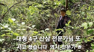 대형 4구 산삼 전문가님 또 사고쳤습니다 역시나 전문가