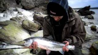 Sea Trout Gotland