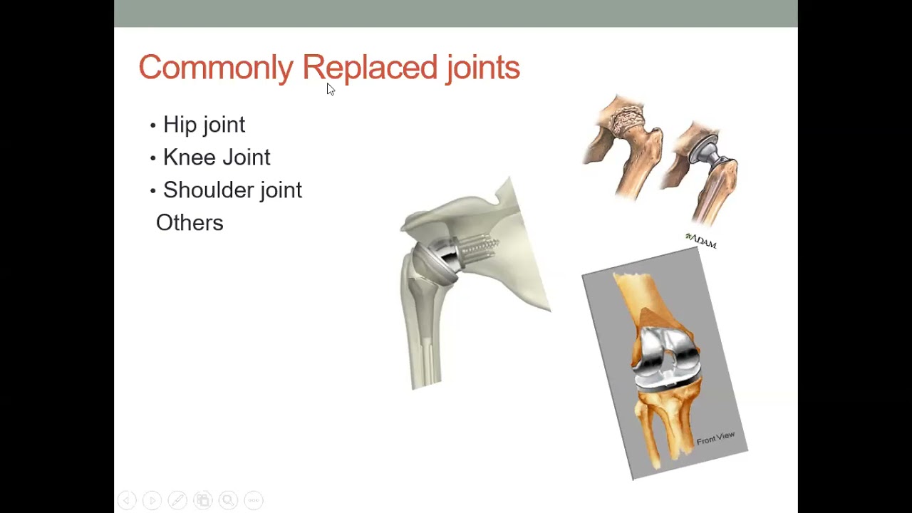 Biomechanics 2 | Lecture 12 & 13 - YouTube