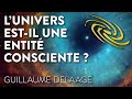 L'UNIVERS EST IL UNE ENTITÉ CONSCIENTE ?