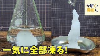 【科学実験】一瞬で凍っちゃう！？奇跡の実験大成功【自由研究】【ホットアイス】