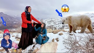 Leila and Sohaila: Searching for firewood in the snow and seeing a wild animal 🥶🪵🐅😱😨🙏