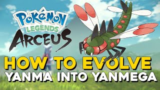Pokemon Legends Arceus How To Evolve Yanma Into Yanmega