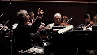 Eugene Albulescu: Performing and Conducting an Orchestra of Friends