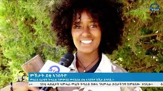 ደቂ ኣንስትዮ ኣባላት ሰራዊት ትግራይ መስርዕ ሰራዊት ትግራይ ንኸይ