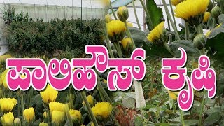 ಪಾಲಿಹೌಸ್ ನಲ್ಲಿ ಹೂವಿನ ಬೆಳೆ||ಡಾ.ಸಾಯಿಲ್ ಹೂವಿನ ಬೆಳೆ||Organic Flower farm||Dr.Soil results in Polly-house