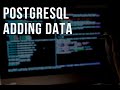 Add Data to Tables in PostgreSQL