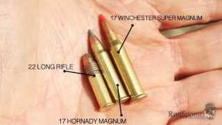 Worlds Most Powerful Rimfire -- 17 Winchester Super Magnum