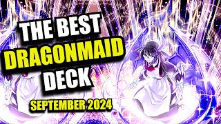 Yu-Gi-Oh! The BEST Dragonmaid Deck Profile! - September 2024 - TCG and Master Duel