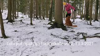 Pilli pysäystys vol2 takapalkalla Tofu 1v 13.3.2021