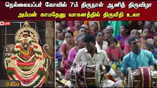 🔴Live :  நெல்லையப்பர் கோவில் 7ம் திருநாள் ஆனித் திருவிழா - அம்மன் காமதேனு வாகனத்தில் திருவீதி உலா