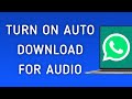 How To Turn On Auto Download For Audio On WhatsApp App On PC (New Update)