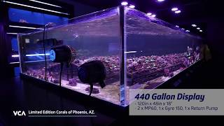 440 Gallon Coral Tank Flow Upgrade - RFG!