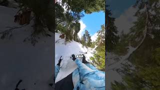 Beware tree stumps #snowboarding