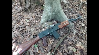 Chiappa rak22 squirrel hunt gopro