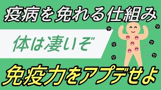 免疫力をアップデートする栄養学と予防医学