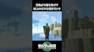 【ティアキン】空島から槍を投げて地上のヒノックスを倒すリンク【ゼルダの伝説 ティアーズ オブ ザ キングダム】