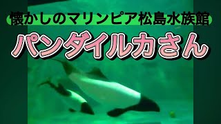 懐かしきマリンピア松島水族館2