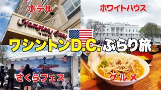 【アメリカ旅行】春のワシントンDCで桜観たりホワイトハウス行ったり｜ホテル紹介｜さくらフェスティバル｜ラーメン