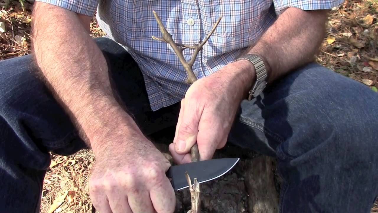 Quick And Easy Campfire Apple Pie Longer Life Plan