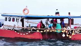 tangkapan melimpah nelayan saat cuaca sedang tidak bersahabat🌊🌊🌊