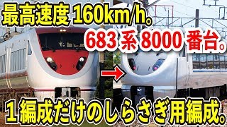 【１編成だけの160km/h車】683系8000番台の特急しらさぎに乗ることができた件【しらさぎ色で唯一の683系】