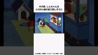 【クレヨンしんちゃん】泣ける感動回 『シロがお病気だゾ』をサクッと紹介  #クレしん