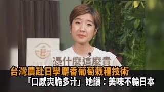 台灣農赴日學麝香葡萄栽種技術　「口感爽脆多汁」她讚：美味不輸日本－全民話燒