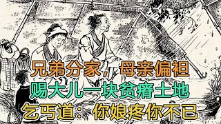 民間故事：兄弟分家，母亲偏袒，赐大儿一块贫瘠土地，乞丐道：你娘疼你不已｜書生突然富貴，還娶到了老婆｜頭條故事匯