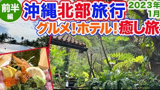 【沖縄旅行/北部観光 前編】やんばるの森カフェ\u0026贅沢すぎる海鮮丼も！美ら海水族館すぐのホテル、マハイナウェルネスリゾートもご紹介！！温泉にプールに最高の癒し旅！（前半編）