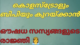 കൊളസ്ട്രോളും ബിപിയും സമ്മർദ്ദവും കുറയ്ക്കാൻ..