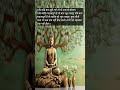 mahatma gautam buddha suvichar video ♥️ shorts motivation quotes budhha trending success