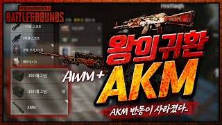 AKM의 화려한 부활! 테스트서버 AKM 반동이 확연하게 줄어들었습니다 [AWM + 길리슈트] | 배틀그라운드 군림보