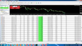 forexhunterea deposit 1000$ profit 1275$