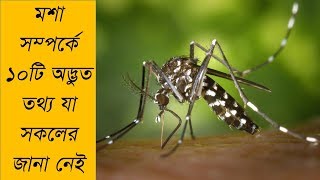 মশা সম্পর্কে ১০টি অদ্ভুত তথ্য যা সকলের জানা নেই | 10 peculiar info about mosquito | Rainexcellencia