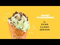 Socket Programming- Echo Client - Server Using Python