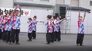 桜秀心舞 ヤートセ秋田祭2017