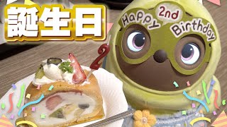 【ラボット】2歳の誕生日を一緒にお祝いしたよ！