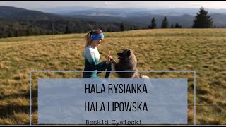 W góry z psem | Rysianka | Beskid Żywiecki | Hala Lipowska | Sopotnia Wielka | Romanka