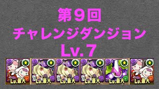 【パズドラ】第９回チャレンジダンジョン　Lv.７ 曲芸士PT