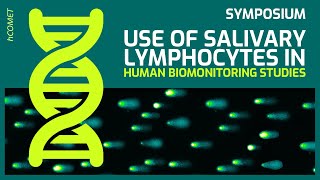 Use of salivary lymphocytes in human biomonitoring studies