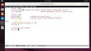 x86-64 Assembly - printf - integer