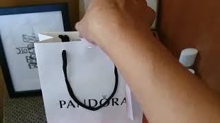 pandora logo and T bar necklace