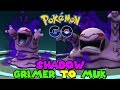 Evolving SHADOW GRIMER TO SHADOW MUK IN POKEMON GO