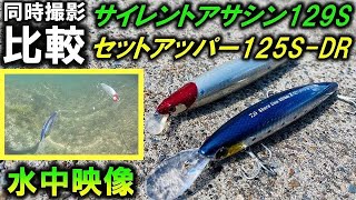 水中映像【セットアッパーとサイレントアサシン】人気シーバスルアーを同時に泳がせる。DAIWAショアラインシャイナーSETUPPER125S-DRとSHIMANO SilentAssassin129S