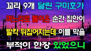 [읽어드림] 꼬리 9개 달린 구미호가 며느리로 들어온 순간 집안이 발칵 뒤집어지는데 이를 막을 부적이 한장 있었으니 ...네이트판ㅣ레전드썰ㅣ사이다썰